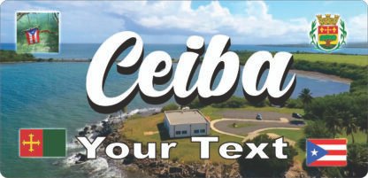 Ceiba Puerto Rico License Plate / Mugs, Tumblers, Keychains, Car Coasters / Personalized - Image 11