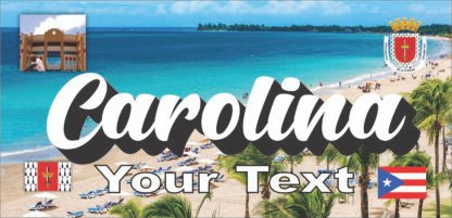 Carolina Puerto Rico License Plate  / Personalized