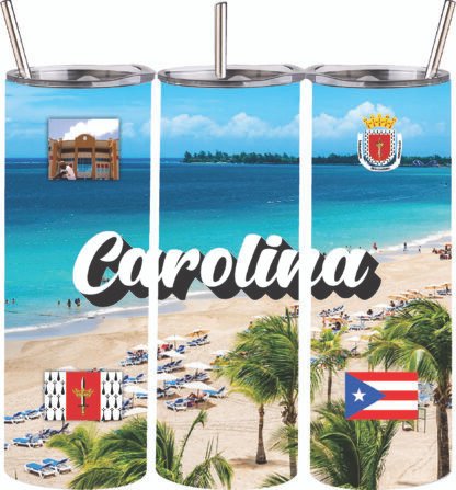 Carolina Puerto Rico 20oz Stainless Steel Double Wall Skinny Tumbler With Straw 1pc