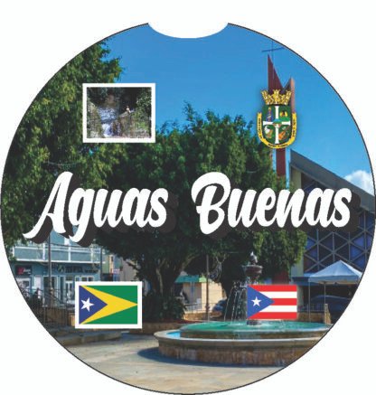 Aguas Buenas Puerto Rico Print 2pc Car Coasters Round Rubber 2.75in/5mm